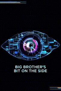 Big Brother’s Bit on the Side